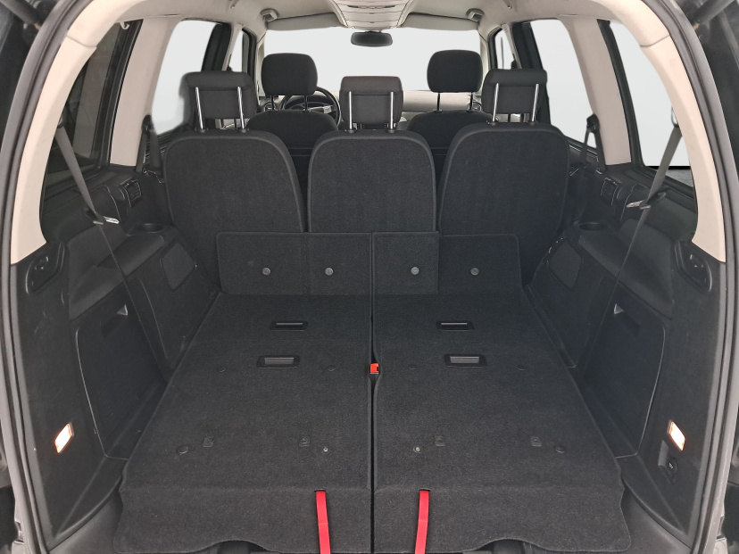 Ford Galaxy, 2009