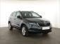 Škoda Karoq, 2021