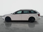 Škoda Octavia, 2019