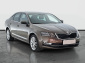 Škoda Octavia, 2020