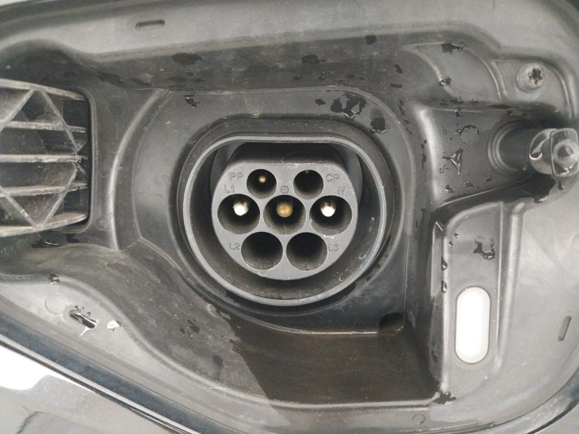Škoda Octavia, 2021