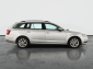 Škoda Octavia, 2019