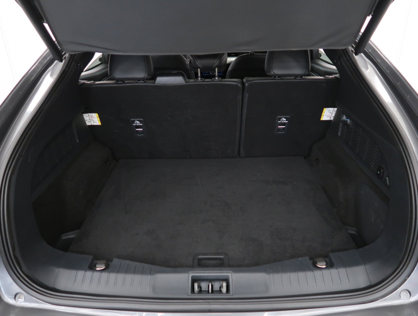 Ford Mustang Mach-E, 2021
