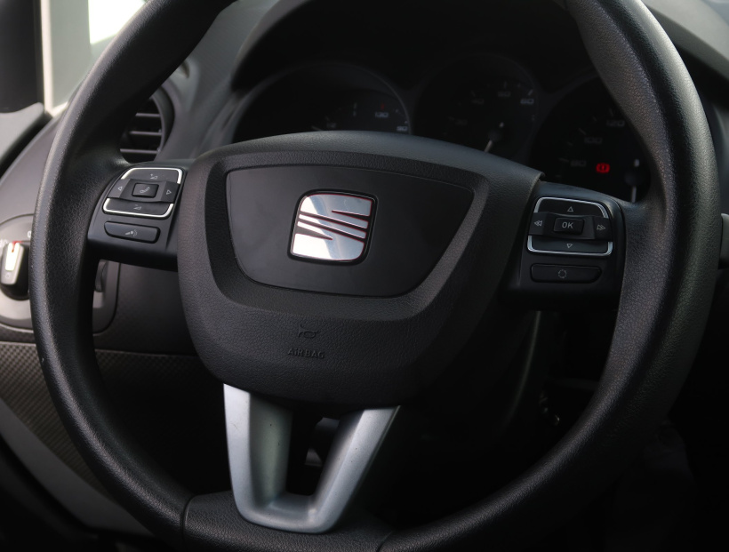 Seat Altea, 2010
