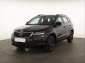 Škoda Karoq, 2020