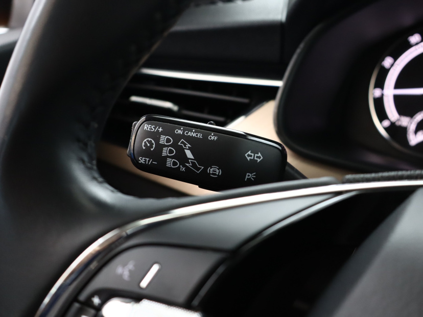 Škoda Kamiq, 2022