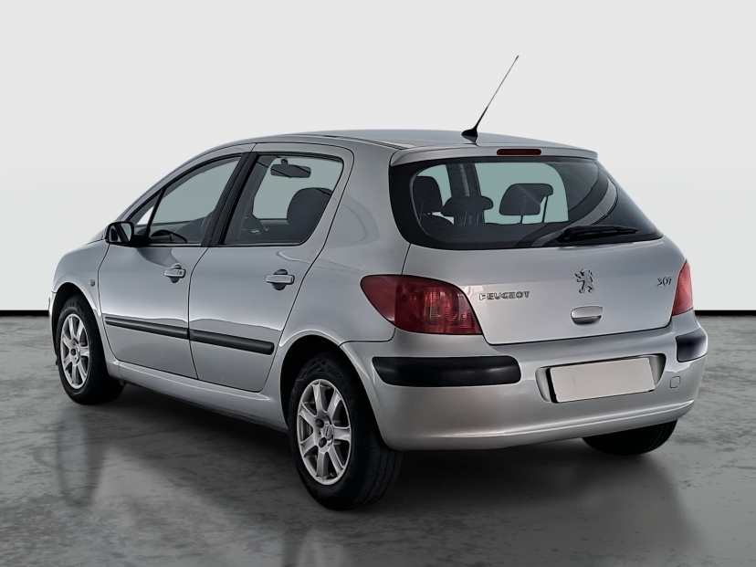 Peugeot 307, 2004