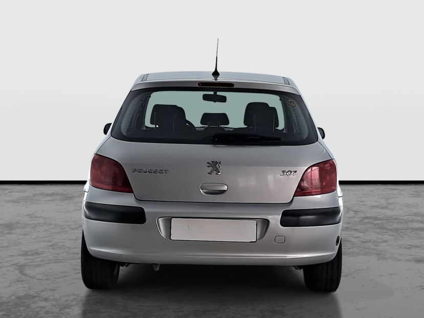 Peugeot 307, 2004