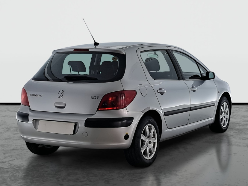 Peugeot 307, 2004