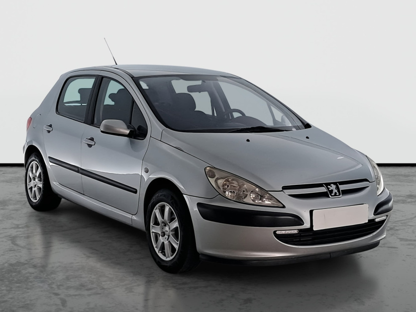 Peugeot 307, 2004
