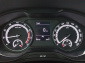 Škoda Karoq, 2020