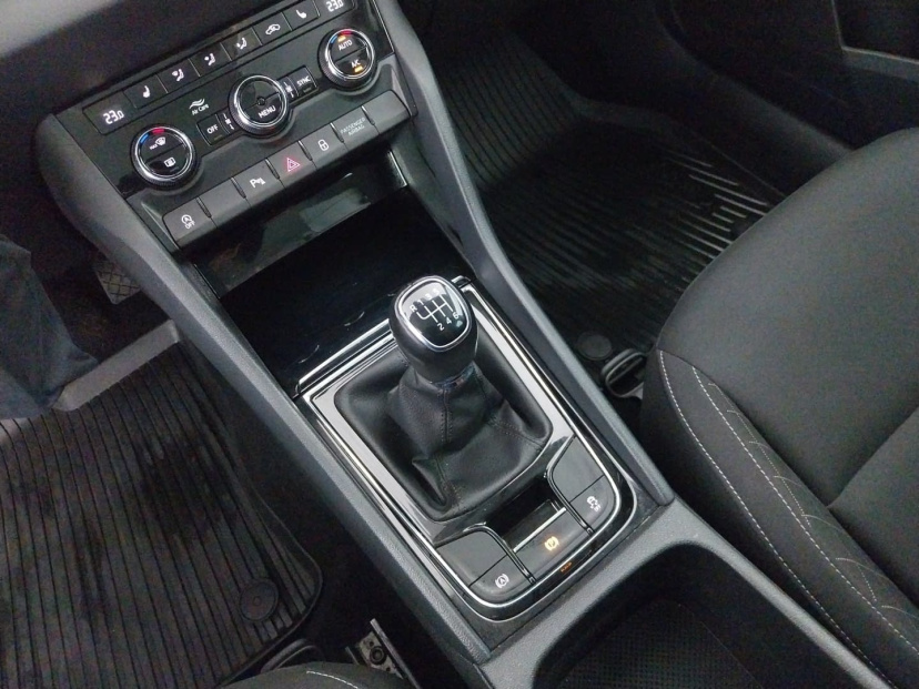 Škoda Karoq, 2020