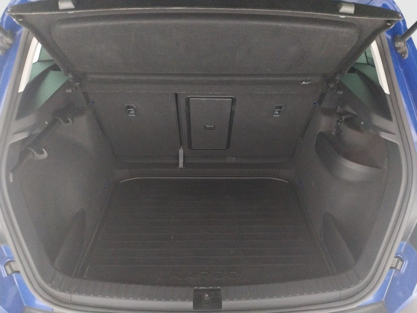 Škoda Karoq, 2020