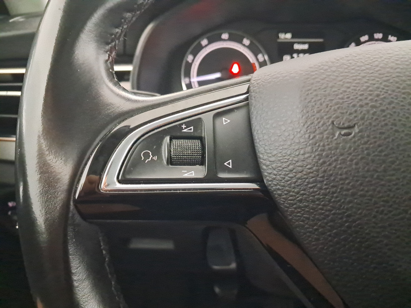 Škoda Scala, 2019