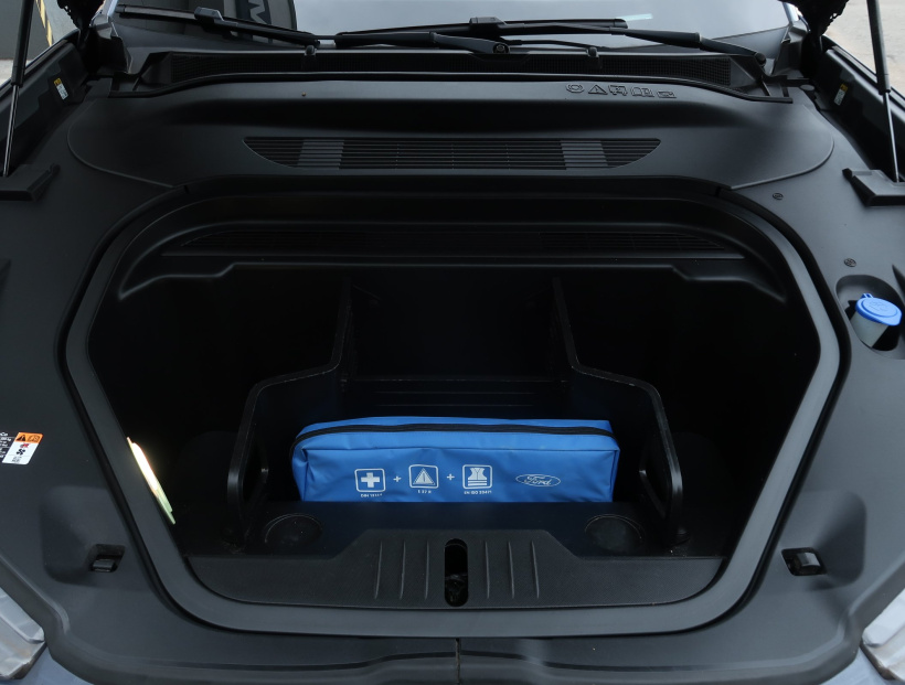 Ford Mustang Mach-E, 2021