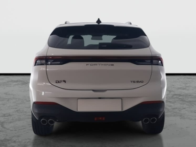 Dongfeng Forthing T5 EVO - 2025