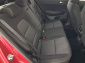 Kia Sportage, 2019