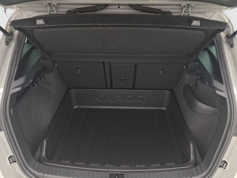 Škoda Karoq, 2022