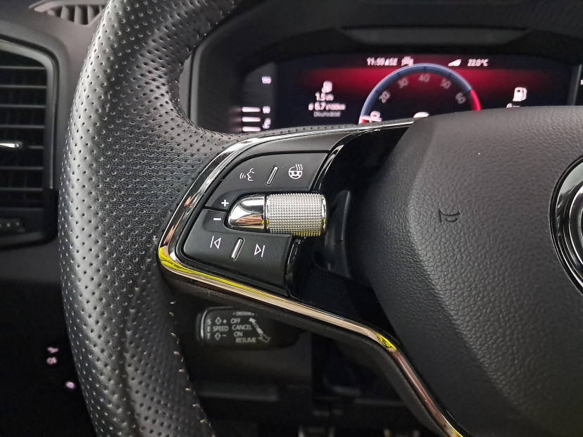 Škoda Karoq, 2022