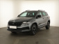 Škoda Karoq, 2023