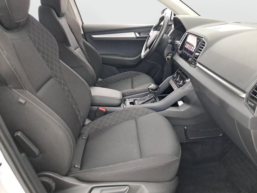 Škoda Karoq, 2019