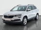 Škoda Karoq, 2019