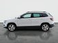 Škoda Karoq, 2019