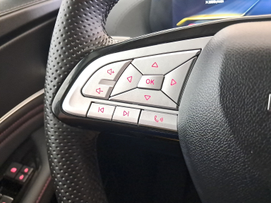 Dongfeng Forthing T5 EVO - 2025