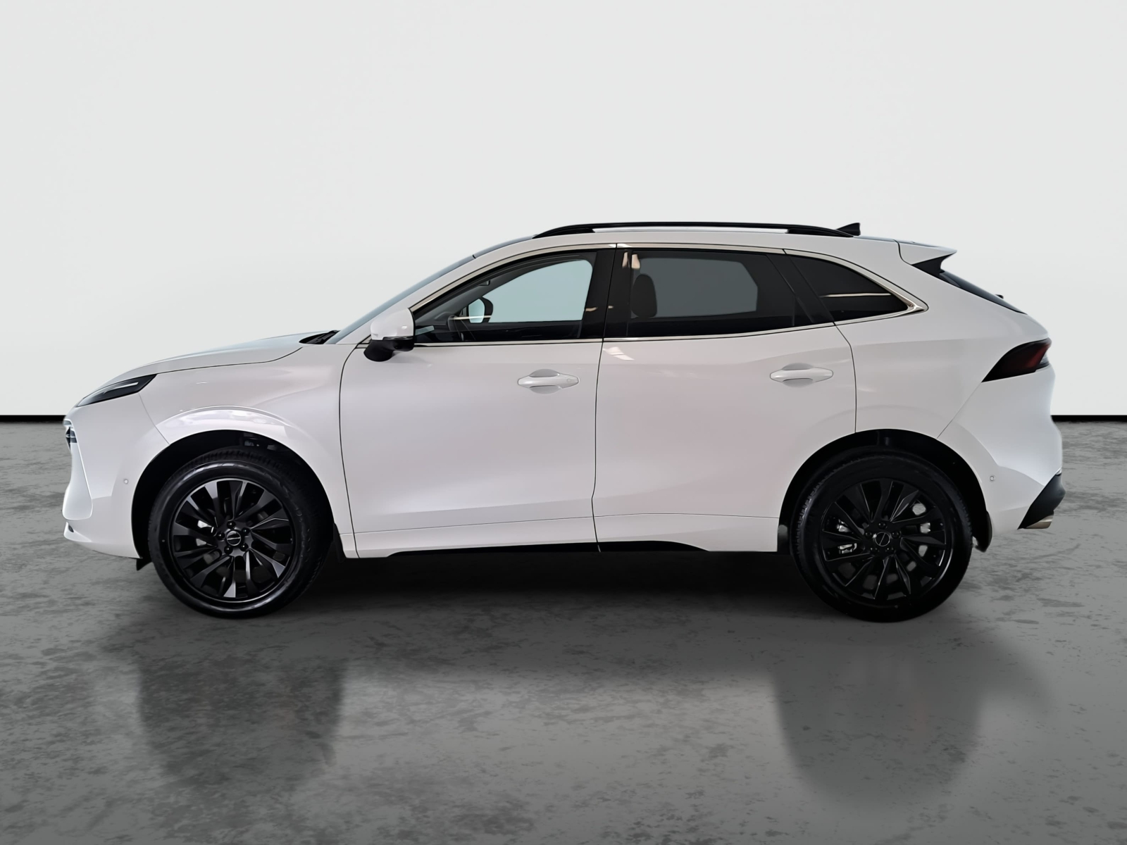 Dongfeng Forthing T5 EVO - 2025