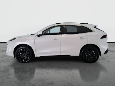 Dongfeng Forthing T5 EVO - 2025