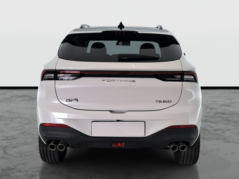 Dongfeng Forthing T5 EVO, 2025