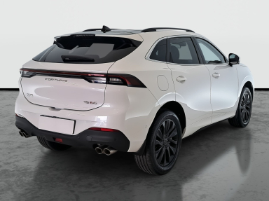 Dongfeng Forthing T5 EVO - 2025
