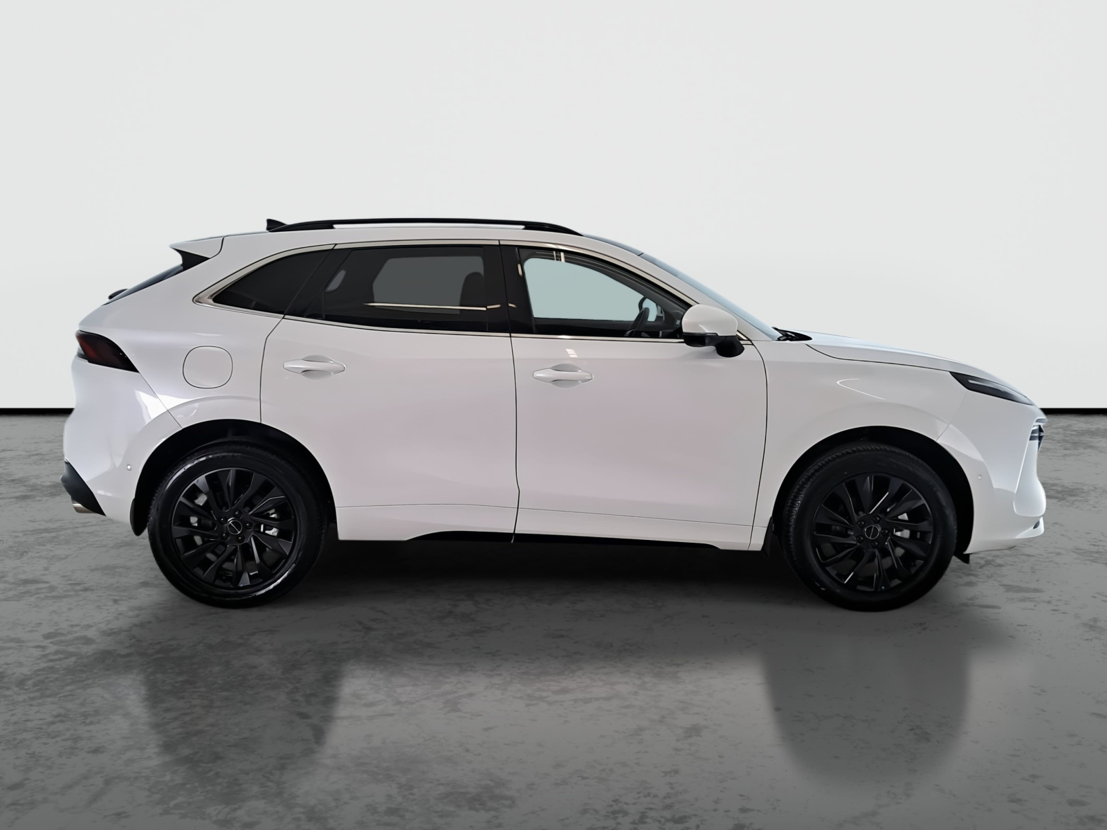Dongfeng Forthing T5 EVO - 2025