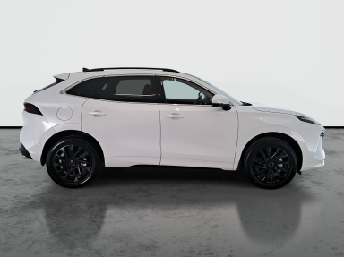 Dongfeng Forthing T5 EVO - 2025