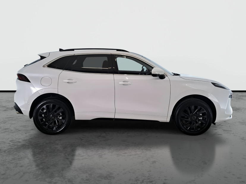 Dongfeng Forthing T5 EVO, 2025