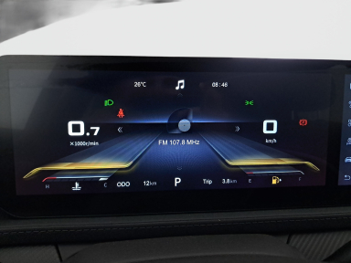 Dongfeng Forthing T5 EVO - 2025