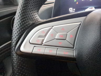 Dongfeng Forthing T5 EVO - 2025