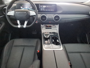Dongfeng Forthing T5 EVO - 2025