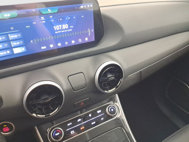 Dongfeng Forthing T5 EVO - 2025