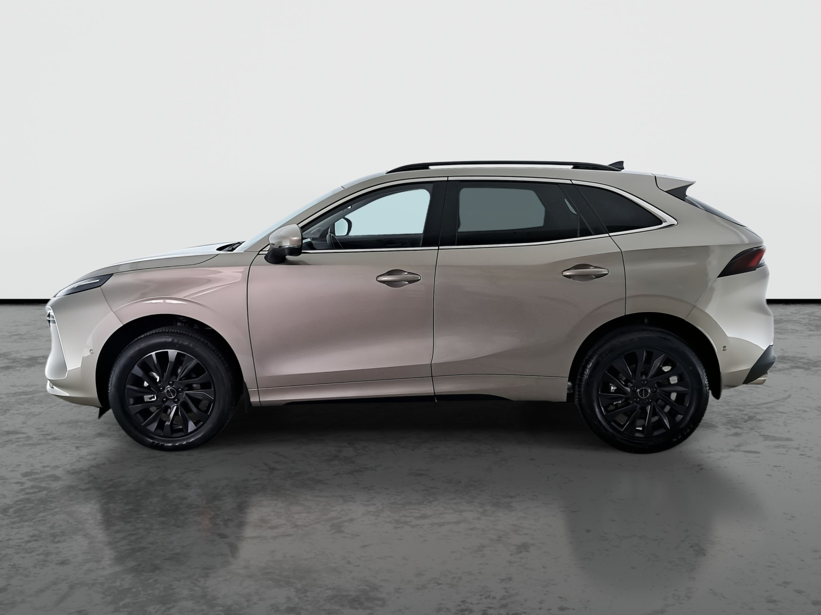 Dongfeng Forthing T5 EVO - 2025