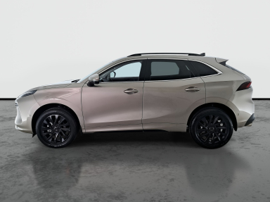Dongfeng Forthing T5 EVO - 2025