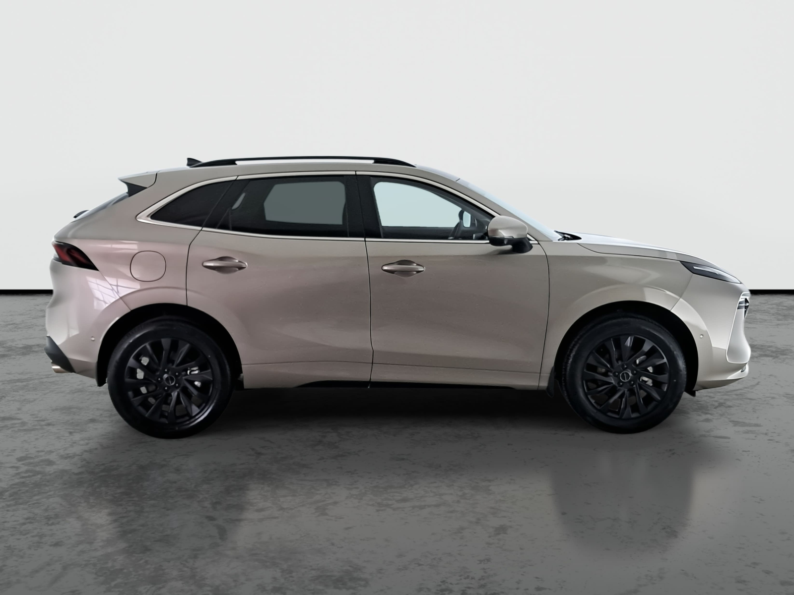 Dongfeng Forthing T5 EVO - 2025