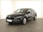 Škoda Octavia, 2024
