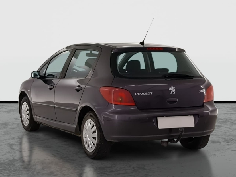 Peugeot 307, 2005