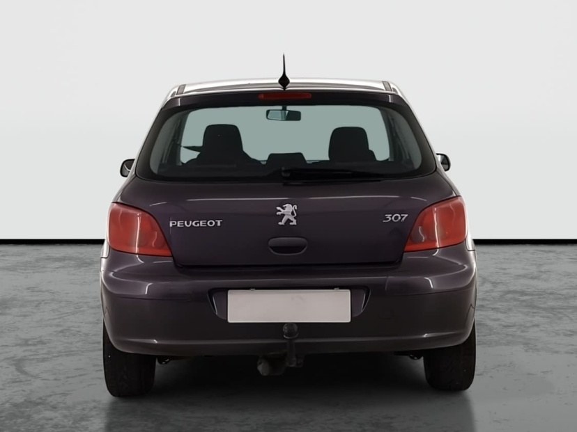 Peugeot 307, 2005