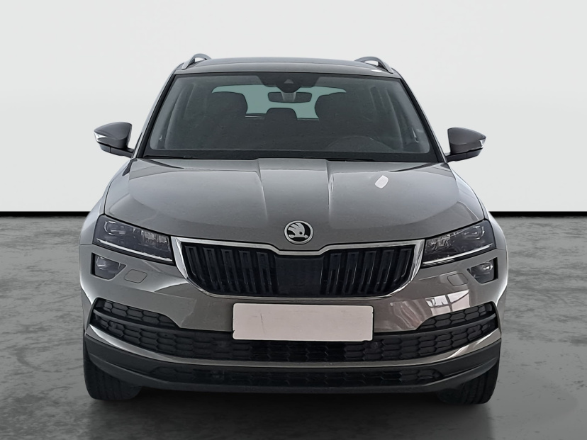 Škoda Karoq, 2019