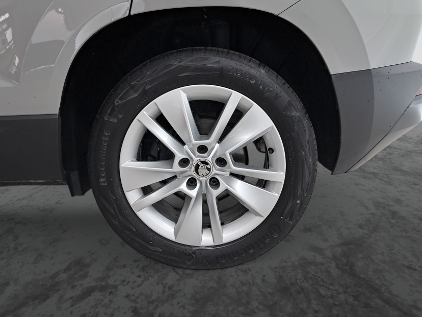 Škoda Karoq, 2019