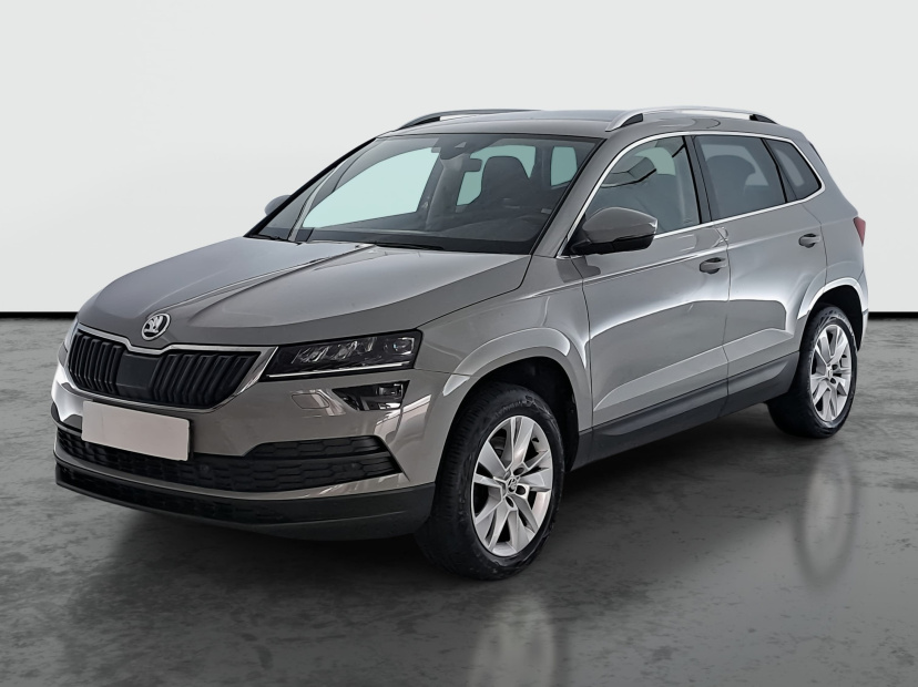 Škoda Karoq, 2019