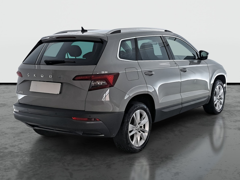 Škoda Karoq, 2019