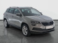 Škoda Karoq, 2019